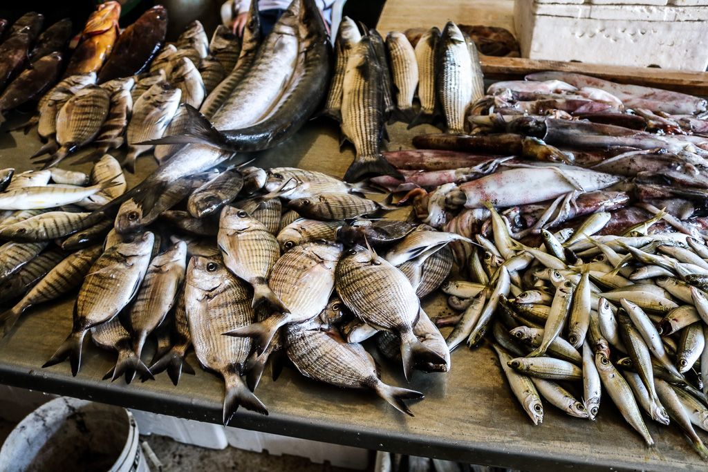 stagionalità della pesca