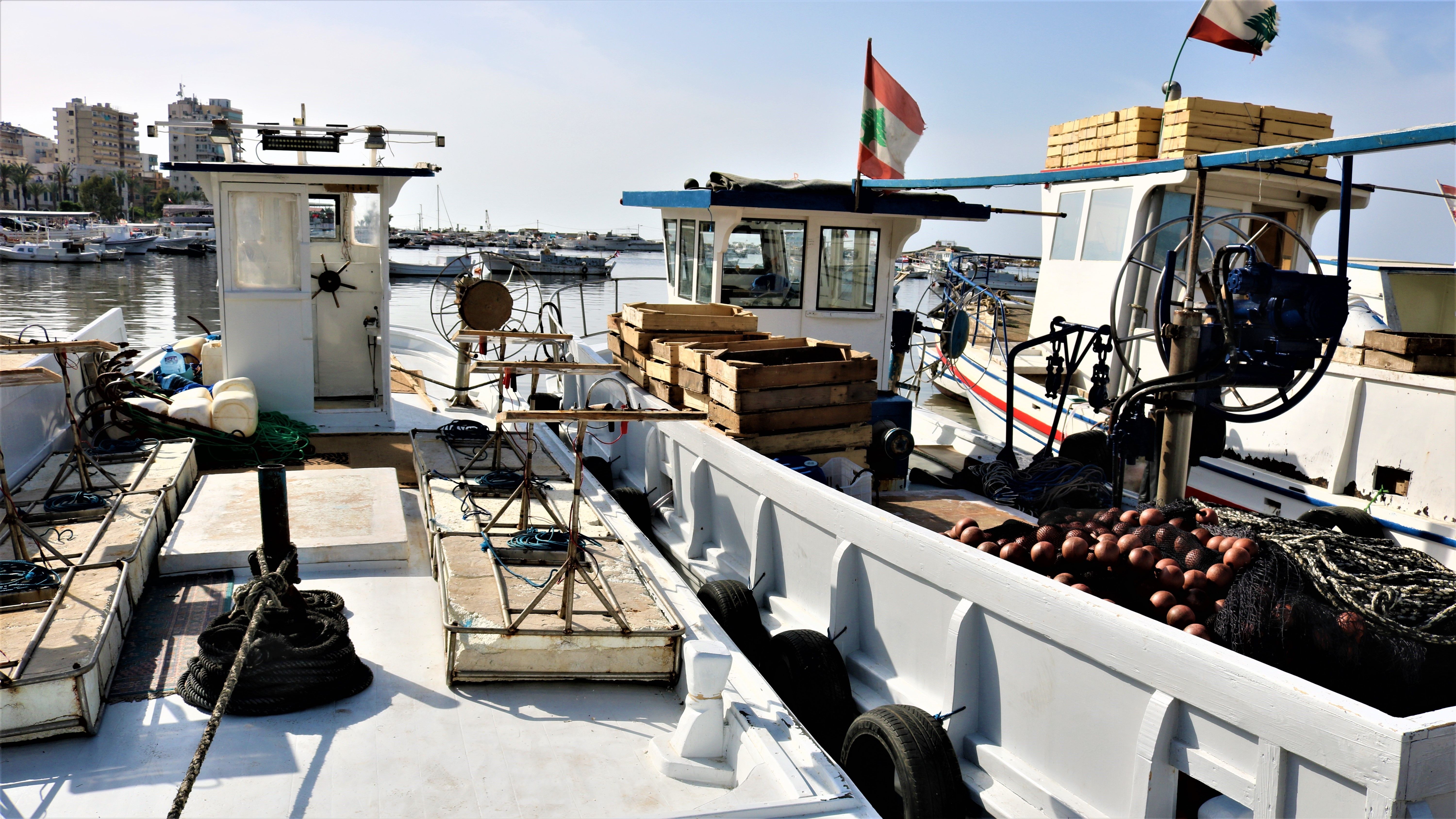 Surrounding Nets libano
